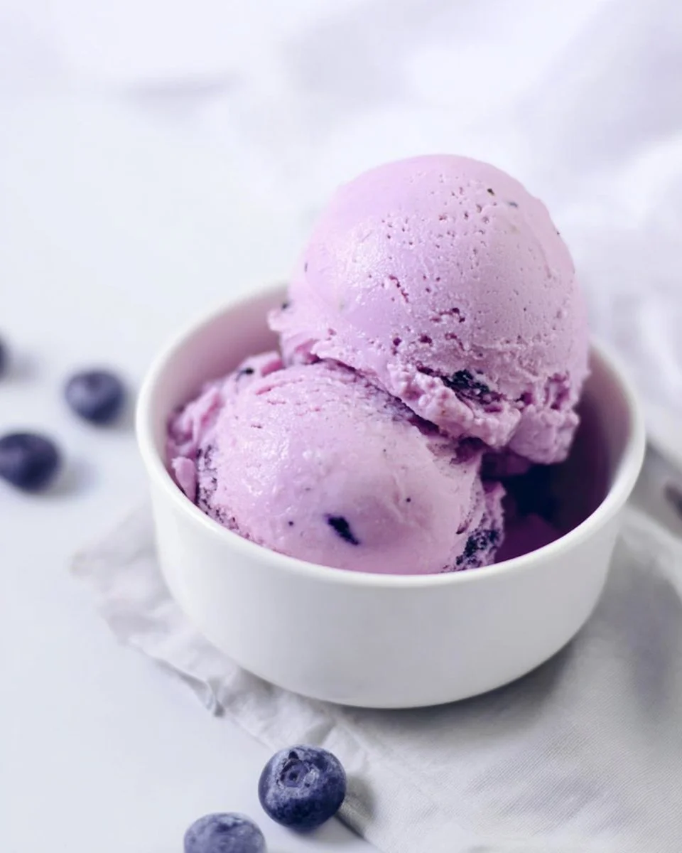 Blueberry and Vanilla Bean Frozen Yogurt Ninja Creami