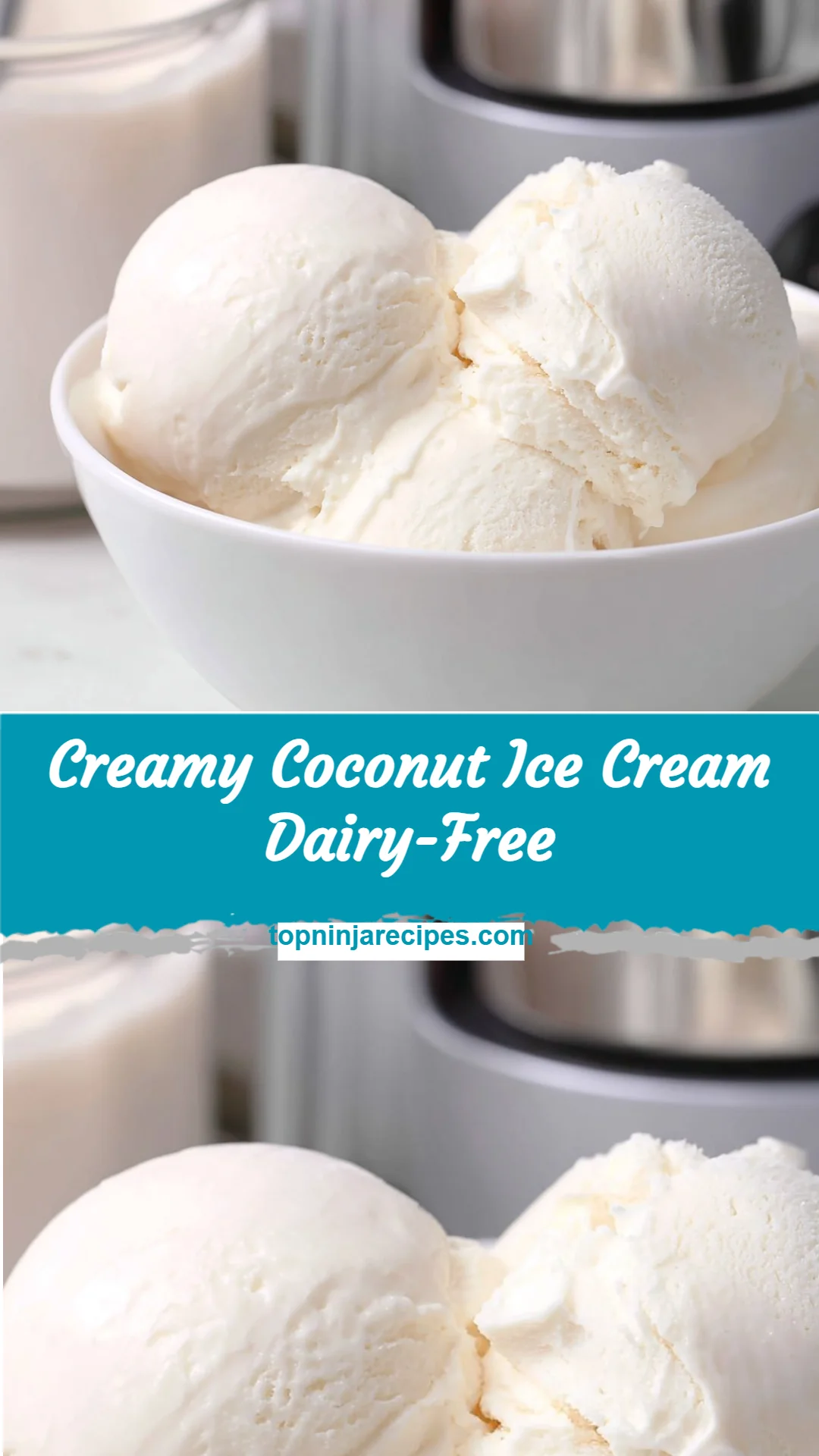 Creamy Coconut Ice Cream Dairy-Free