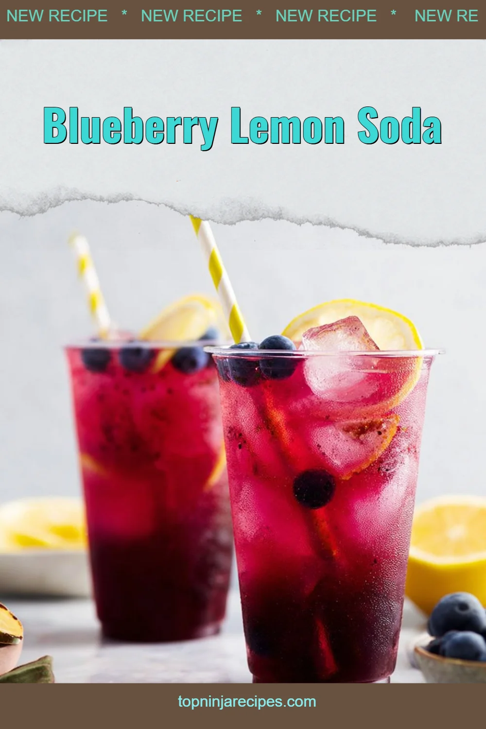 Blueberry Lemon Soda