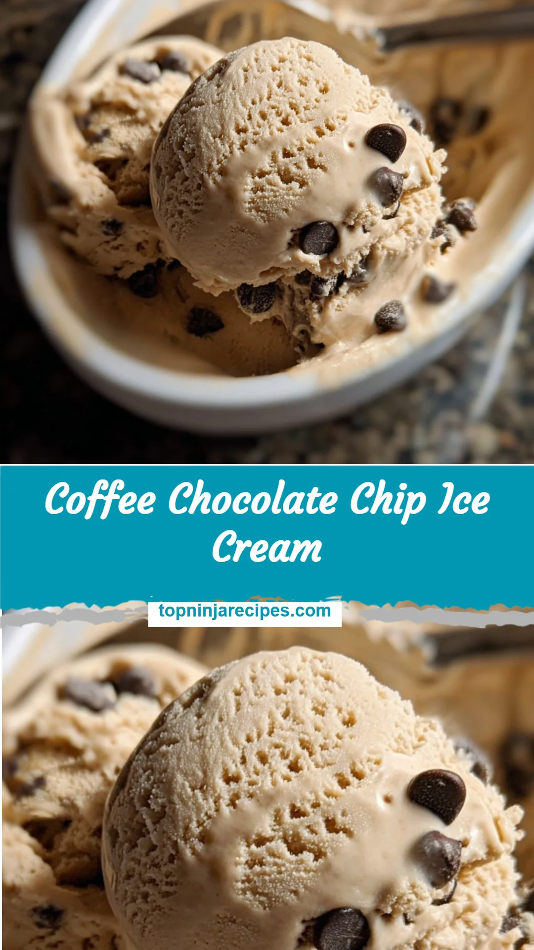 Coffee Chocolate Chip Ice Cream