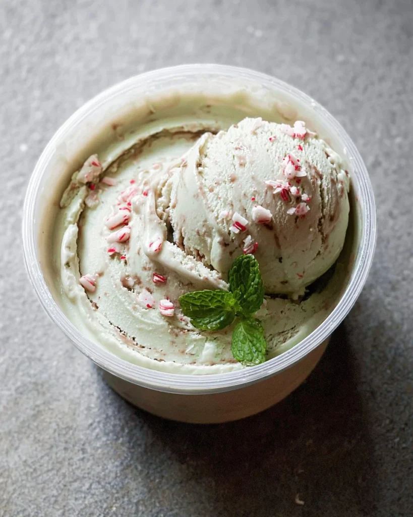 Bowl of homemade mint chocolate protein ice cream with chocolate chips