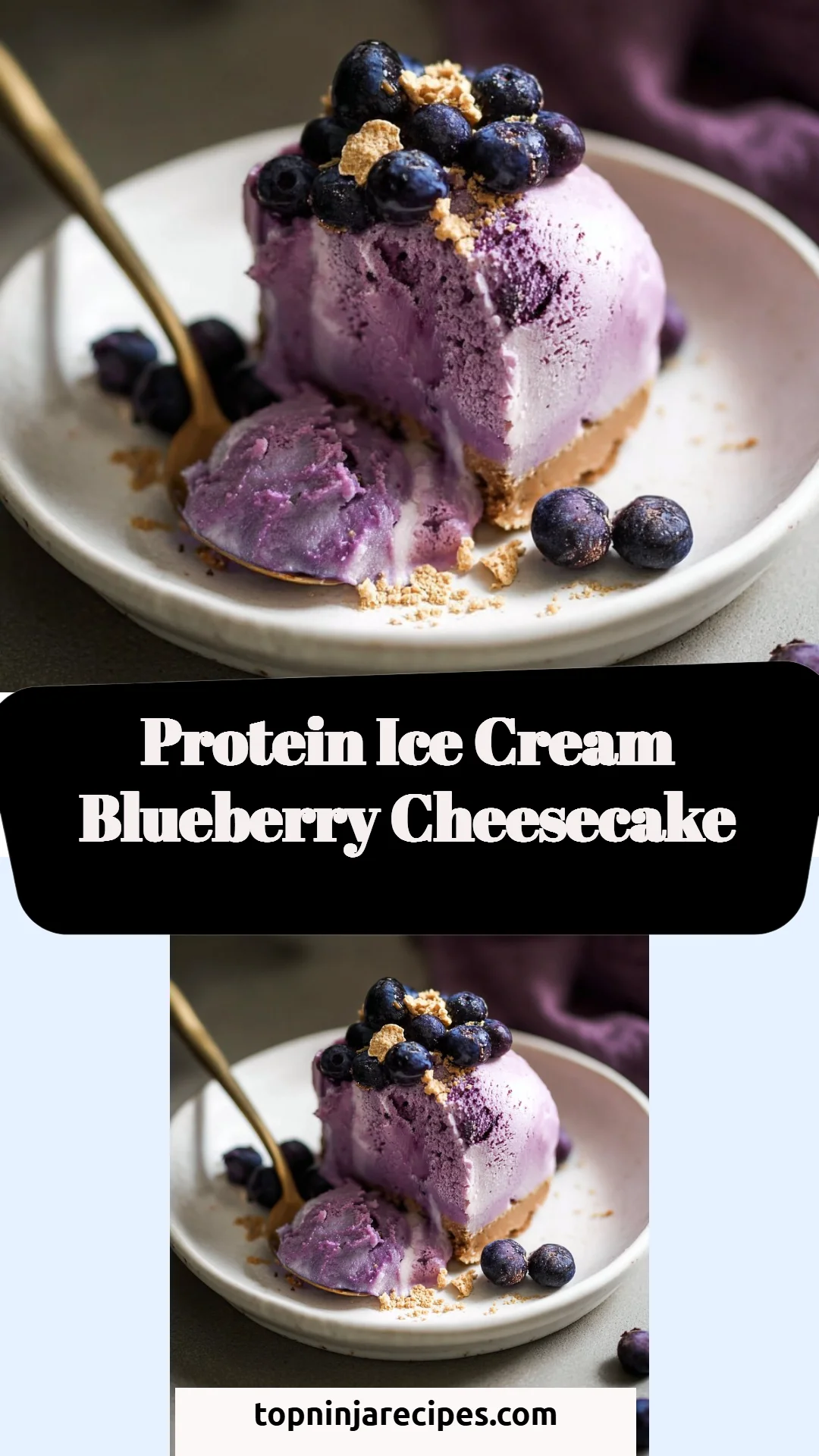 Protein Ice Cream Blueberry Cheesecake