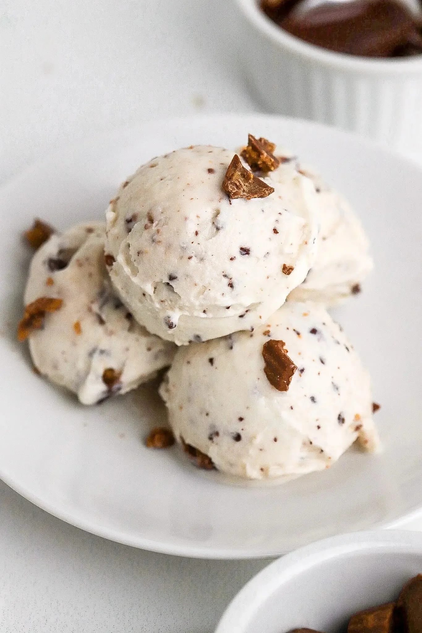 Protein Ice Cream Moose Tracks