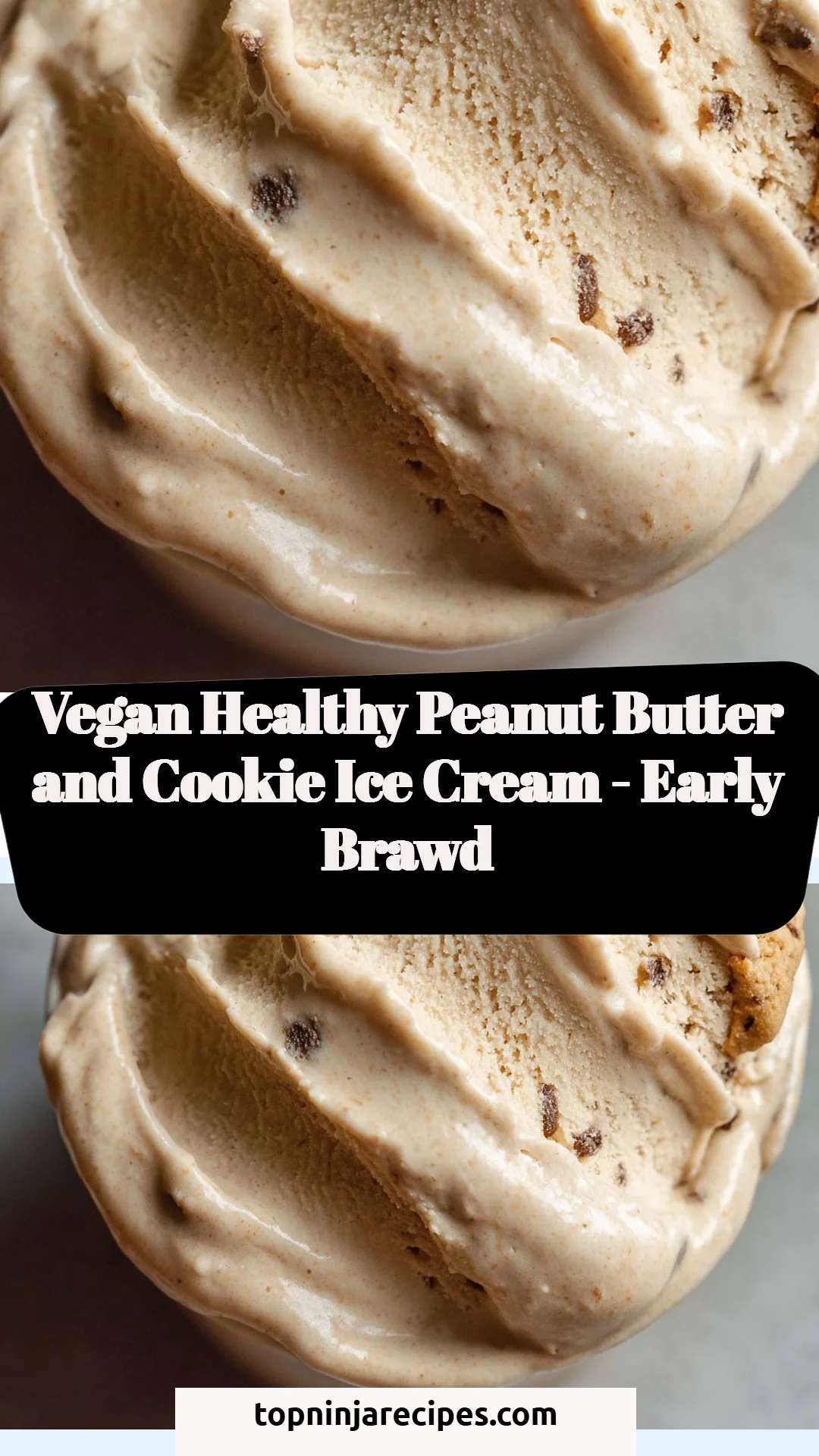 Vegan Healthy Peanut Butter and Cookie Ice Cream - Early Brawd