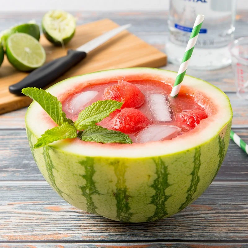 Watermelon Mojito